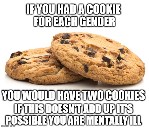 IF YOU HAD A COOKIE 
FOR EACH GENDER; YOU WOULD HAVE TWO COOKIES; IF THIS DOESN'T ADD UP IT'S POSSIBLE YOU ARE MENTALLY ILL | made w/ Imgflip meme maker
