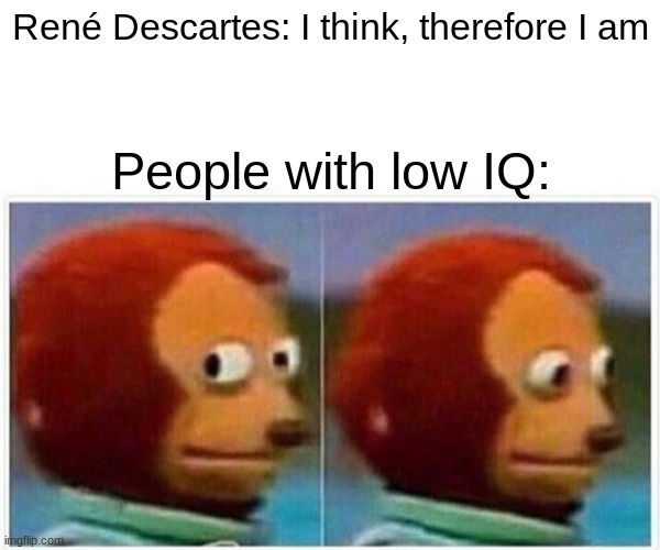 Monkey Puppet | René Descartes: I think, therefore I am; People with low IQ: | image tagged in memes,monkey puppet,descartes,philosophy,low iq | made w/ Imgflip meme maker