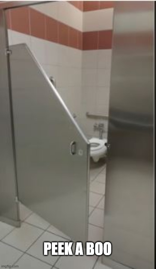Nice View | PEEK A BOO | image tagged in you had one job | made w/ Imgflip meme maker