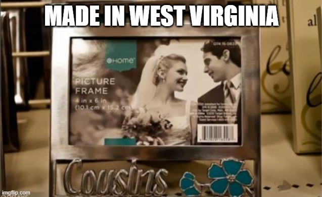 Cousins | MADE IN WEST VIRGINIA | image tagged in you had one job | made w/ Imgflip meme maker