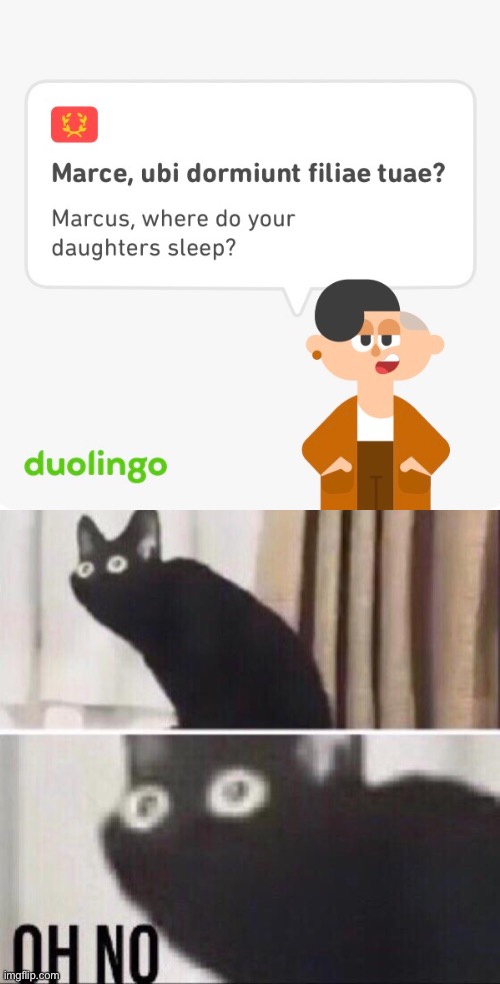 Duolingo Latin is spoopy | image tagged in memes,sad pablo escobar,oh no cat | made w/ Imgflip meme maker