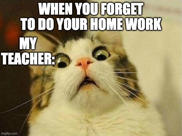 Scared Cat | WHEN YOU FORGET TO DO YOUR HOME WORK; MY TEACHER: | image tagged in memes,scared cat | made w/ Imgflip meme maker