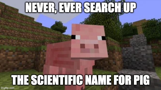 Never, ever, EVER. | NEVER, EVER SEARCH UP; THE SCIENTIFIC NAME FOR PIG | image tagged in minecraft pig,memes,funny,pig,uh oh | made w/ Imgflip meme maker