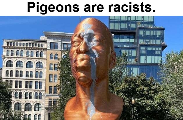 Pigeons are racists. | image tagged in pigeons,racists,dive bombers | made w/ Imgflip meme maker