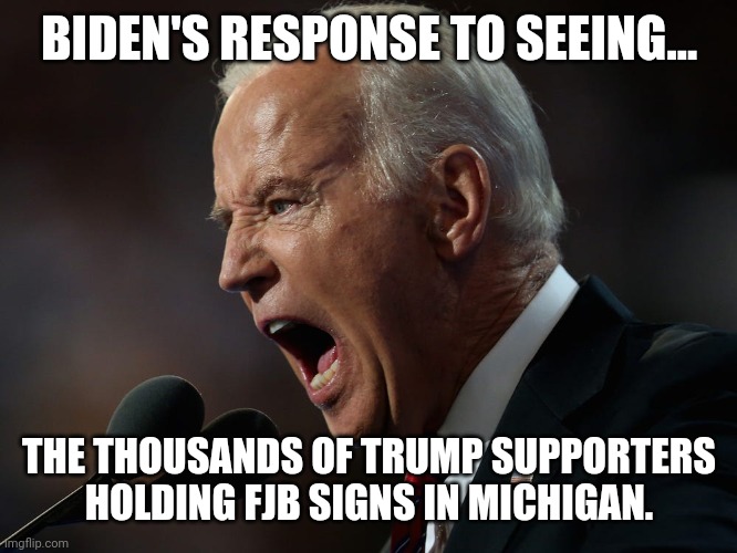 Michigan came out in force today. | BIDEN'S RESPONSE TO SEEING... THE THOUSANDS OF TRUMP SUPPORTERS HOLDING FJB SIGNS IN MICHIGAN. | image tagged in memes | made w/ Imgflip meme maker