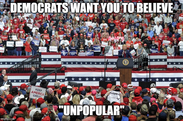 "It's just that they know so many things that aren't so." (Part 6) | DEMOCRATS WANT YOU TO BELIEVE; "UNPOPULAR" | image tagged in donald trump,rally,democrats,liberals,biased media,liars | made w/ Imgflip meme maker