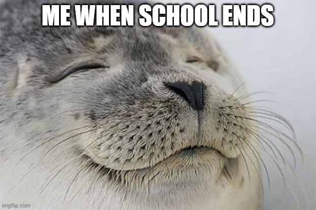 Satisfied Seal | ME WHEN SCHOOL ENDS | image tagged in memes,satisfied seal | made w/ Imgflip meme maker