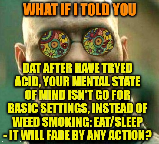 -No way. | WHAT IF I TOLD YOU; DAT AFTER HAVE TRYED ACID, YOUR MENTAL STATE OF MIND ISN'T GO FOR BASIC SETTINGS, INSTEAD OF WEED SMOKING: EAT/SLEEP - IT WILL FADE BY ANY ACTION? | image tagged in acid kicks in morpheus,lsd,hallucinate,don't do drugs,tax returns,what if i told you | made w/ Imgflip meme maker
