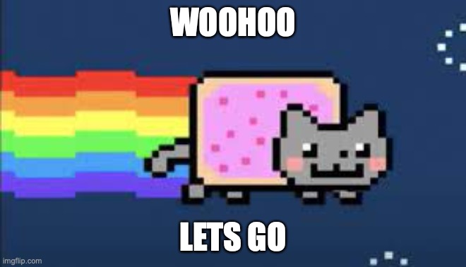 neon cat | WOOHOO; LETS GO | image tagged in cat | made w/ Imgflip meme maker