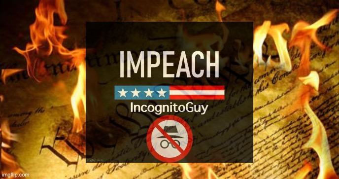 High Quality Impeach IncognitoGuy burning constitution Blank Meme Template