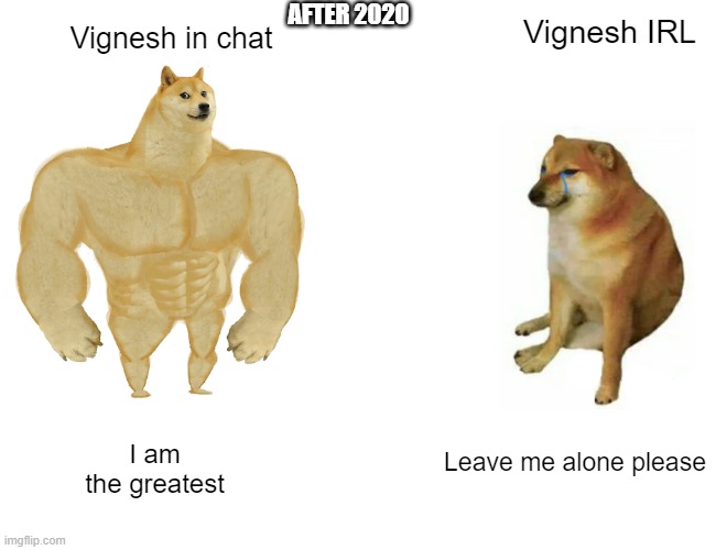 Buff Doge vs. Cheems | AFTER 2020; Vignesh IRL; Vignesh in chat; Leave me alone please; I am the greatest | image tagged in memes,buff doge vs cheems | made w/ Imgflip meme maker