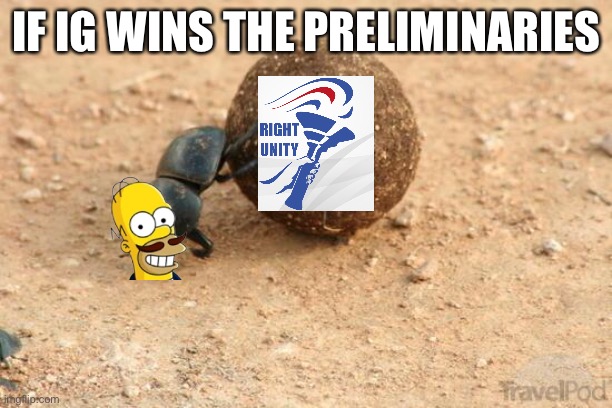 Hard Working Dung Beetle | IF IG WINS THE PRELIMINARIES | image tagged in hard working dung beetle | made w/ Imgflip meme maker