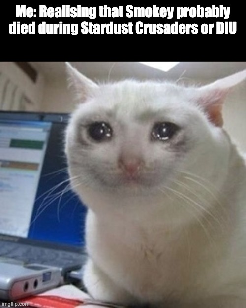 :( | Me: Realising that Smokey probably died during Stardust Crusaders or DIU | image tagged in crying cat,jojo's bizarre adventure | made w/ Imgflip meme maker