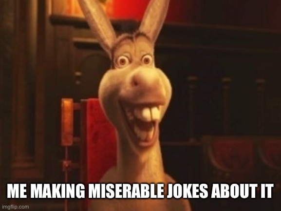 ME MAKING MISERABLE JOKES ABOUT IT | made w/ Imgflip meme maker