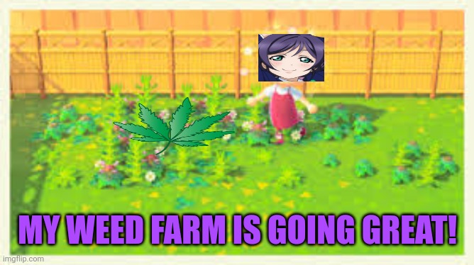 Free weed | MY WEED FARM IS GOING GREAT! | image tagged in free,weed,smoke weed everyday | made w/ Imgflip meme maker