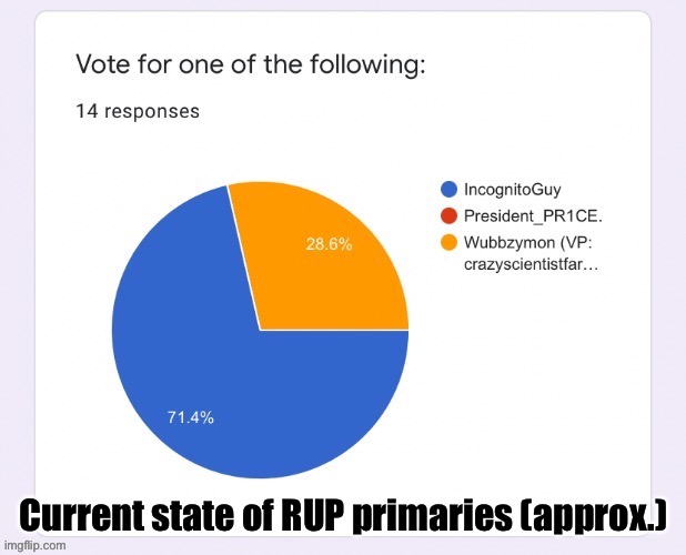 However, subtract one vote from Wubbzy since I voted for him illegally lol :) | Current state of RUP primaries (approx.) | image tagged in rup,primaries,right unity party,primary,election,voted illegally sue me | made w/ Imgflip meme maker