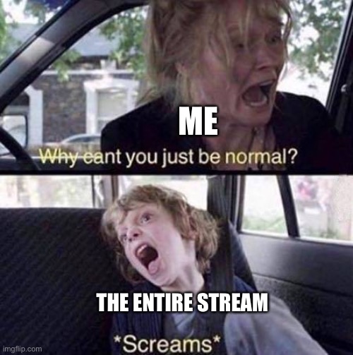 Why Can't You Just Be Normal | ME; THE ENTIRE STREAM | image tagged in why can't you just be normal | made w/ Imgflip meme maker