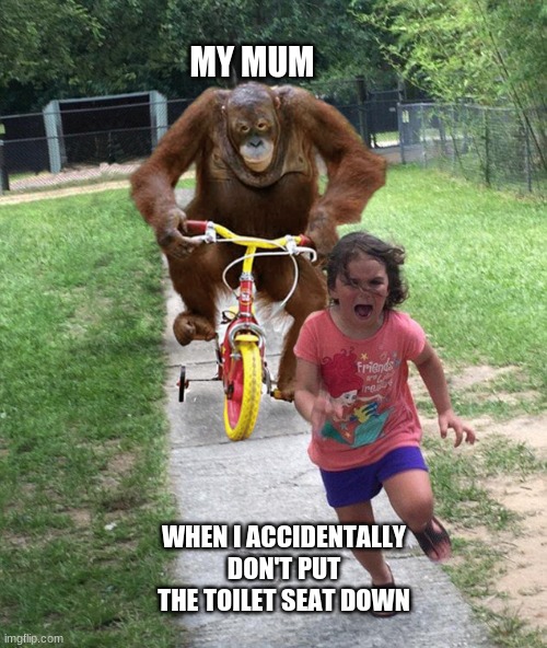 Orangutan chasing girl on a tricycle | MY MUM; WHEN I ACCIDENTALLY DON'T PUT THE TOILET SEAT DOWN | image tagged in orangutan chasing girl on a tricycle | made w/ Imgflip meme maker