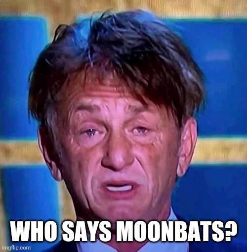 Sean Penn | WHO SAYS MOONBATS? | image tagged in sean penn | made w/ Imgflip meme maker