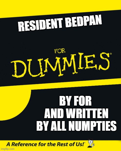 For Dummies | RESIDENT BEDPAN; BY FOR  AND WRITTEN BY ALL NUMPTIES | image tagged in for dummies | made w/ Imgflip meme maker