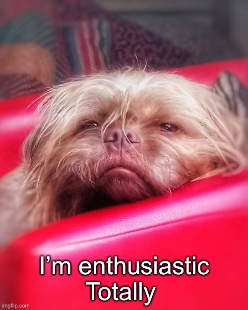 I’m enthusiastic Totally | made w/ Imgflip meme maker