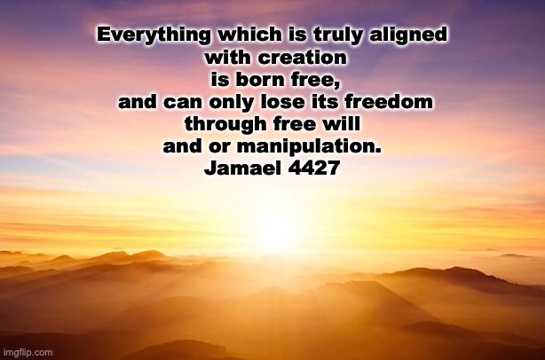 Born free | Everything which is truly aligned
 with creation
 is born free,
 and can only lose its freedom
 through free will 
and or manipulation.
Jamael 4427 | image tagged in born free | made w/ Imgflip meme maker
