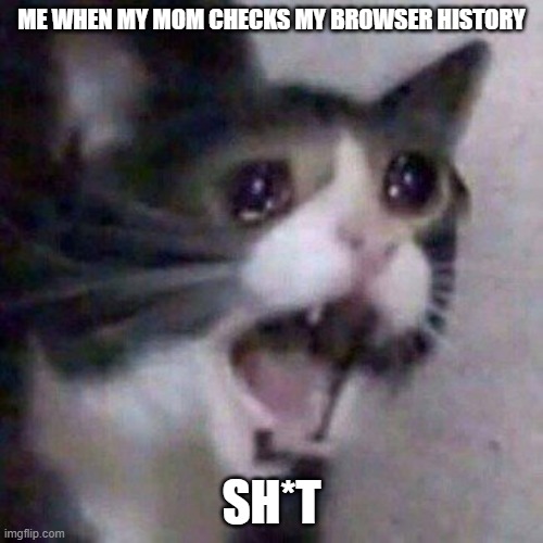 me vs mom... | ME WHEN MY MOM CHECKS MY BROWSER HISTORY; SH*T | image tagged in screaming cat meme,lol,memes | made w/ Imgflip meme maker
