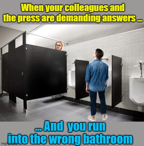 Being Kyrsten Sinema | When your colleagues and the press are demanding answers ... ... And  you run into the wrong bathroom | image tagged in reporter,government,government shutdown,moron,senate | made w/ Imgflip meme maker