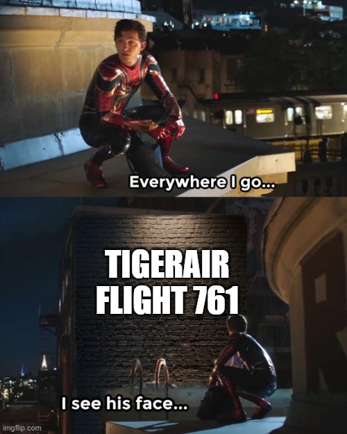 I still remember my first Tigerair flight | TIGERAIR FLIGHT 761 | image tagged in everywhere i go i see his face | made w/ Imgflip meme maker