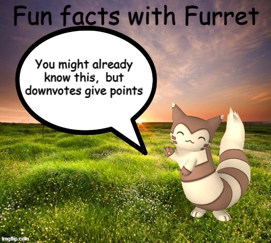 Fun facts with Furret | You might already know this,  but downvotes give points | image tagged in fun facts with furret | made w/ Imgflip meme maker