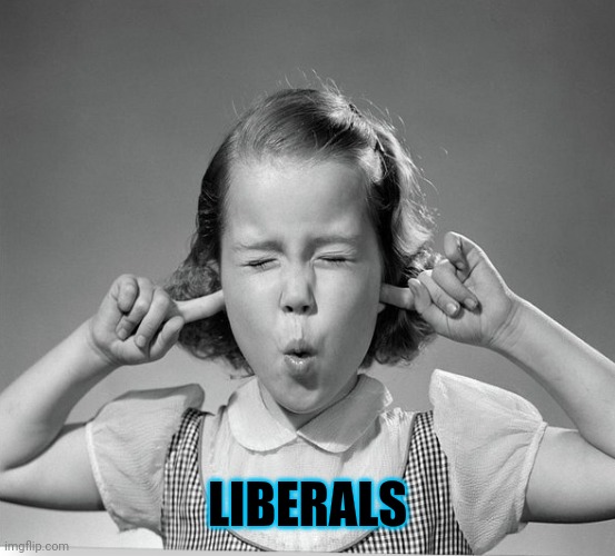 finger in ears | LIBERALS | image tagged in finger in ears | made w/ Imgflip meme maker