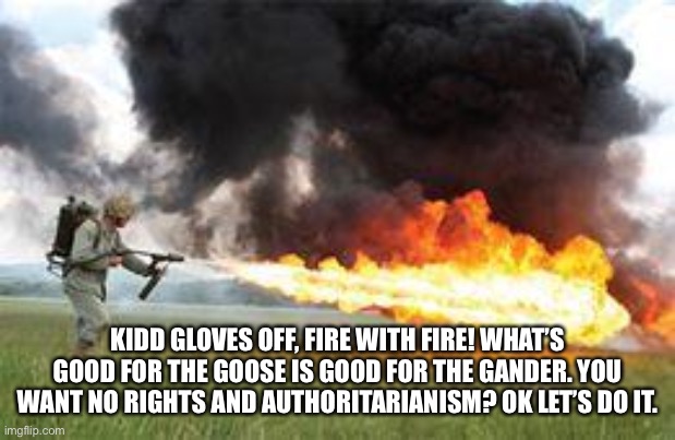 Kill it with fire | KIDD GLOVES OFF, FIRE WITH FIRE! WHAT’S GOOD FOR THE GOOSE IS GOOD FOR THE GANDER. YOU WANT NO RIGHTS AND AUTHORITARIANISM? OK LET’S DO IT. | image tagged in kill it with fire | made w/ Imgflip meme maker