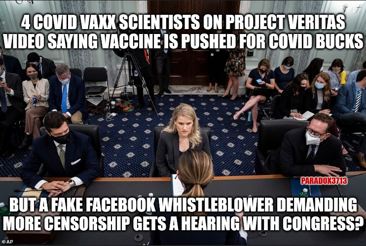 Are members of the Senate and Congress getting more than vaccine from Big Pharma vaccine makers? | 4 COVID VAXX SCIENTISTS ON PROJECT VERITAS VIDEO SAYING VACCINE IS PUSHED FOR COVID BUCKS; PARADOX3713; BUT A FAKE FACEBOOK WHISTLEBLOWER DEMANDING MORE CENSORSHIP GETS A HEARING WITH CONGRESS? | image tagged in memes,politics,congress,senate,coronavirus,vaccines | made w/ Imgflip meme maker