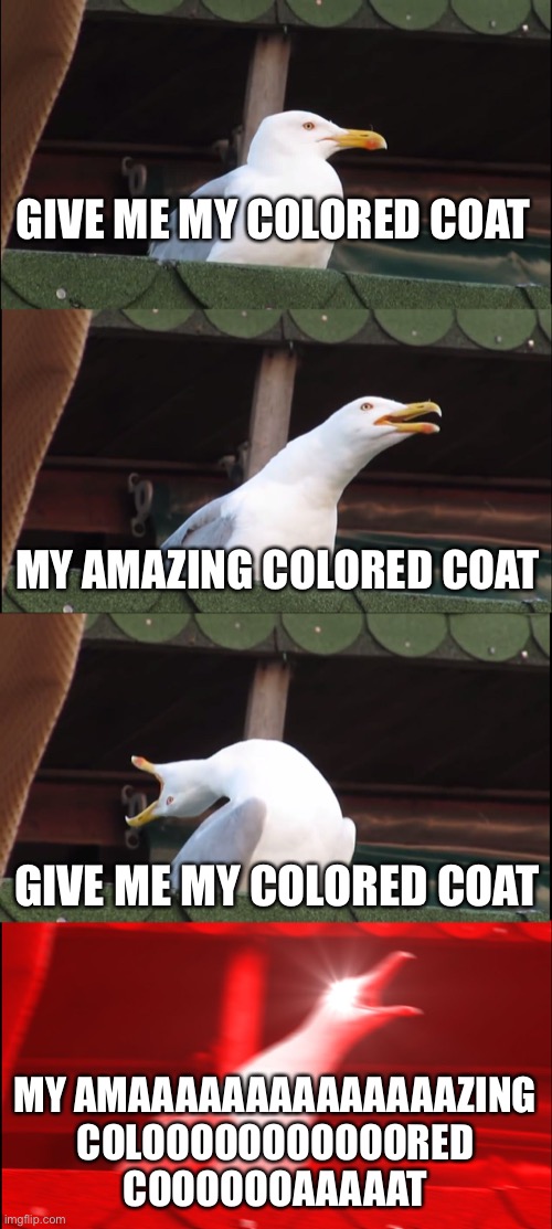 Joseph & the Amazing Technicolor Dreamcoat | GIVE ME MY COLORED COAT; MY AMAZING COLORED COAT; GIVE ME MY COLORED COAT; MY AMAAAAAAAAAAAAAAZING COLOOOOOOOOOOORED COOOOOOAAAAAT | image tagged in memes,inhaling seagull,broadway,musicals,theatre | made w/ Imgflip meme maker