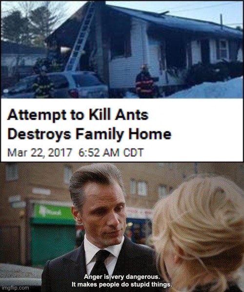 What kind of weapon was even used?! | image tagged in ants,house,home,stupid people,funny,memes | made w/ Imgflip meme maker