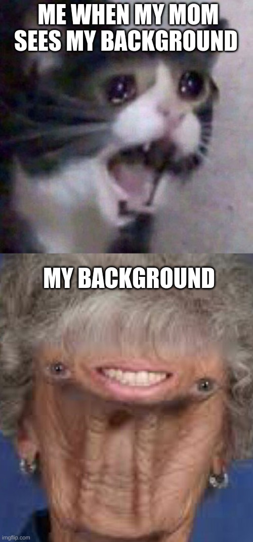  ME WHEN MY MOM SEES MY BACKGROUND; MY BACKGROUND | image tagged in screaming cat meme | made w/ Imgflip meme maker