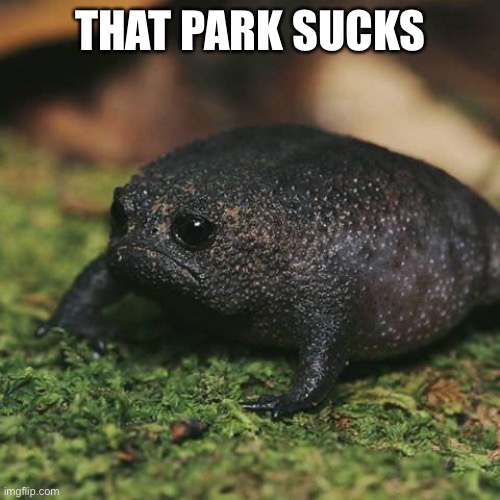 Sad Toad | THAT PARK SUCKS | image tagged in sad toad | made w/ Imgflip meme maker
