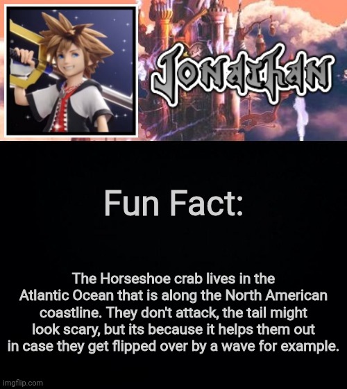 Fun Fact:; The Horseshoe crab lives in the Atlantic Ocean that is along the North American coastline. They don't attack, the tail might look scary, but its because it helps them out in case they get flipped over by a wave for example. | image tagged in jonathan's sixth temp | made w/ Imgflip meme maker