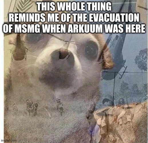 PTSD Chihuahua | THIS WHOLE THING REMINDS ME OF THE EVACUATION OF MSMG WHEN ARKUUM WAS HERE | image tagged in ptsd chihuahua | made w/ Imgflip meme maker
