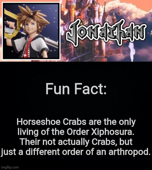 Fun Fact:; Horseshoe Crabs are the only living of the Order Xiphosura. Their not actually Crabs, but just a different order of an arthropod. | image tagged in jonathan's sixth temp | made w/ Imgflip meme maker