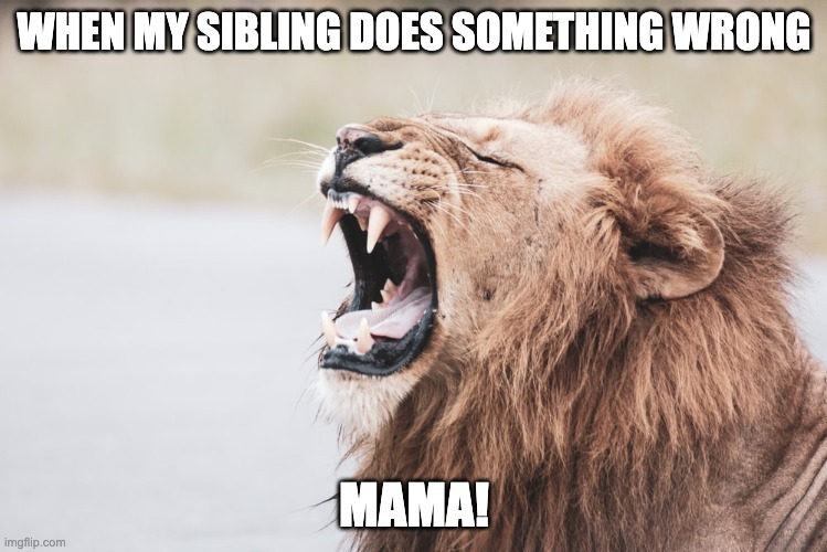 Lion | WHEN MY SIBLING DOES SOMETHING WRONG; MAMA! | image tagged in lion | made w/ Imgflip meme maker