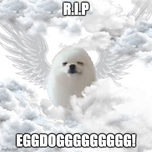 Eggdog | R.I.P; EGGDOGGGGGGGGG! | image tagged in eggdog | made w/ Imgflip meme maker