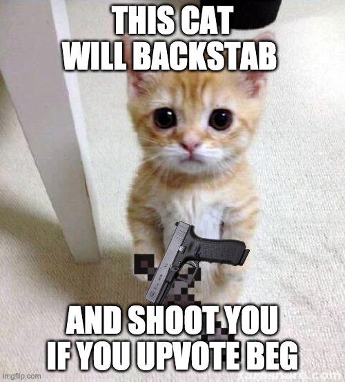 Cute Cat | THIS CAT WILL BACKSTAB; AND SHOOT YOU IF YOU UPVOTE BEG | image tagged in memes,cute cat | made w/ Imgflip meme maker