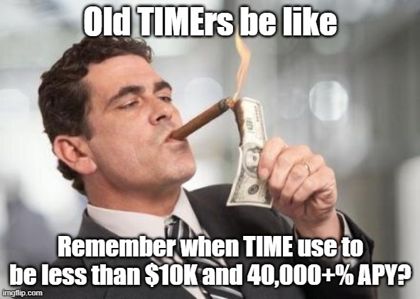 Wonderland.Money - Old TIMErs | Old TIMErs be like; Remember when TIME use to be less than $10K and 40,000+% APY? | image tagged in rich guy burning money | made w/ Imgflip meme maker
