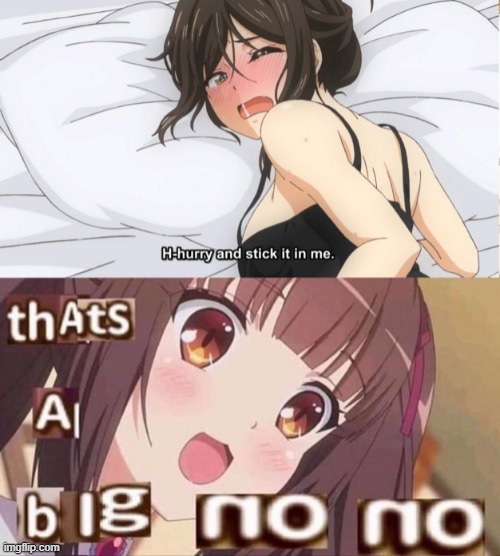 no no | made w/ Imgflip meme maker