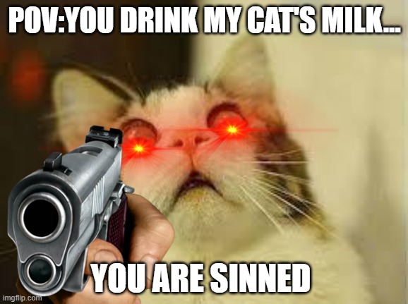 you drank it | POV:YOU DRINK MY CAT'S MILK... YOU ARE SINNED | image tagged in memes,cats,nani,funny memes,shocked cat | made w/ Imgflip meme maker