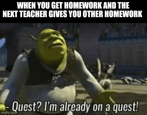 Quest? I'm already on a quest | WHEN YOU GET HOMEWORK AND THE NEXT TEACHER GIVES YOU OTHER HOMEWORK | image tagged in shreks on a quest | made w/ Imgflip meme maker