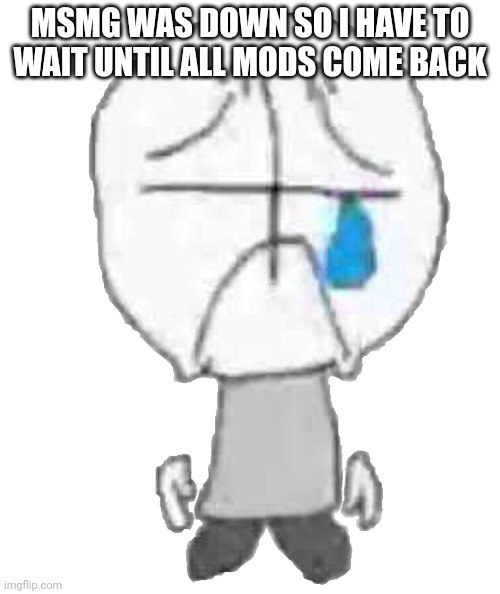 I have to post in this stream now | MSMG WAS DOWN SO I HAVE TO WAIT UNTIL ALL MODS COME BACK | image tagged in sadness combat grunt | made w/ Imgflip meme maker