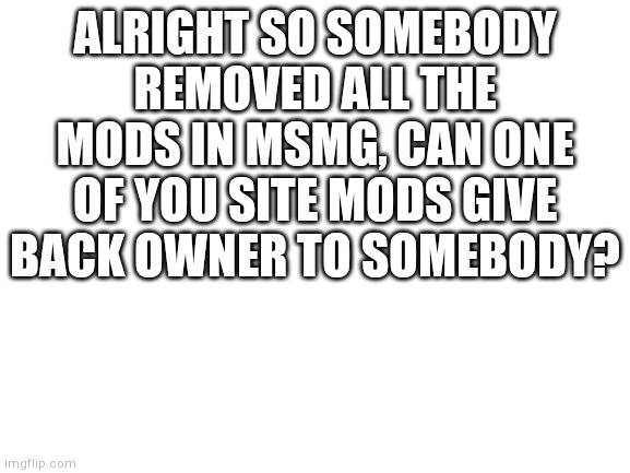 Blank White Template | ALRIGHT SO SOMEBODY REMOVED ALL THE MODS IN MSMG, CAN ONE OF YOU SITE MODS GIVE BACK OWNER TO SOMEBODY? | image tagged in blank white template | made w/ Imgflip meme maker