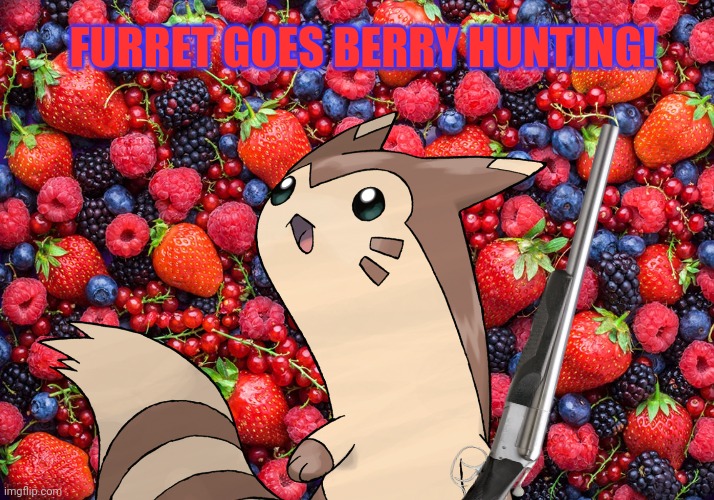 Furrets need berries! | FURRET GOES BERRY HUNTING! | image tagged in furret,pokemon,cute animals,hunting season,oops all berries | made w/ Imgflip meme maker